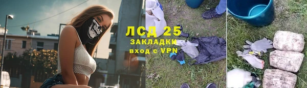 дживик Богородицк