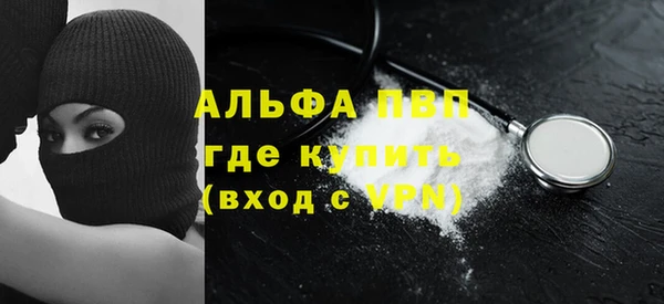 spice Белокуриха
