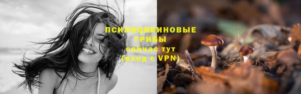 гашишное масло Белоозёрский