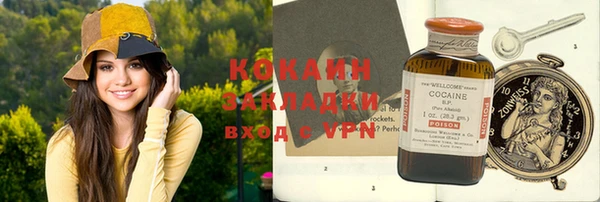 дживик Богородицк