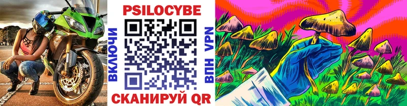 Псилоцибиновые грибы Psilocybine cubensis  Гатчина 