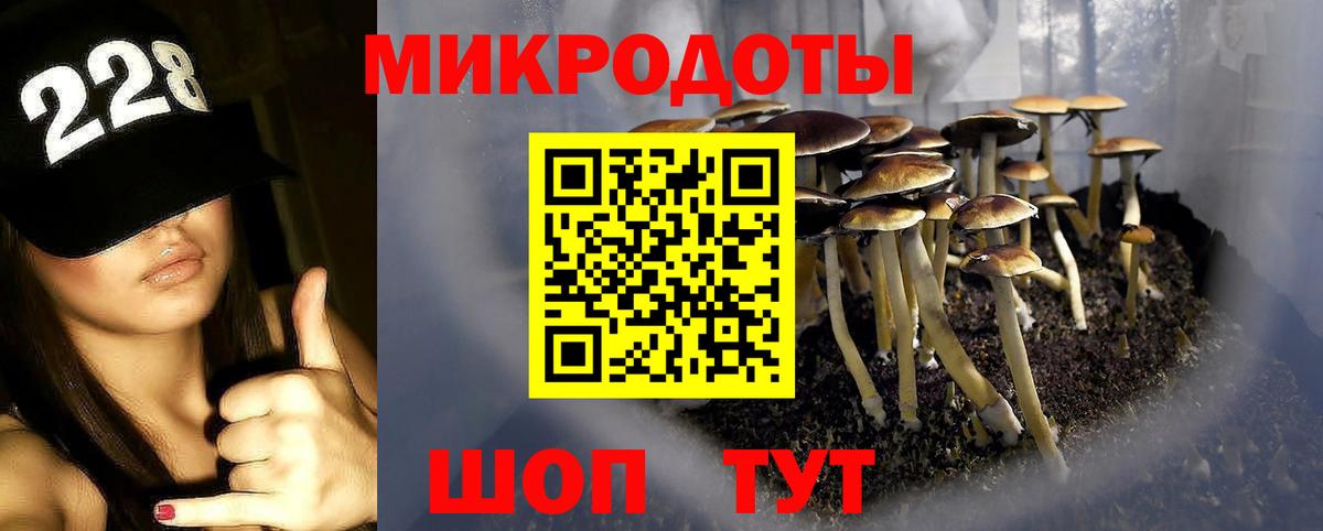 Псилоцибиновые грибы мицелий  Вход с VPN  Гатчина 