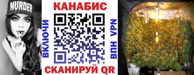 Канабис AK-47  ОМГ ОМГ ONION  Гатчина 